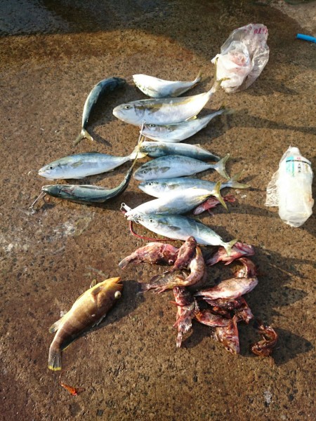 一年ぶりのリベンジ