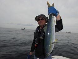 スーパーコーリン丸 投稿ブリ、メジロ好調