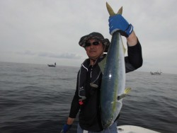 スーパーコーリン丸 投稿ブリ、メジロ好調