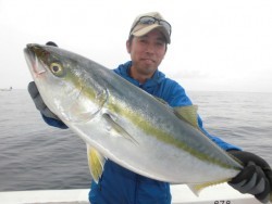 スーパーコーリン丸 投稿ブリ、メジロ好調