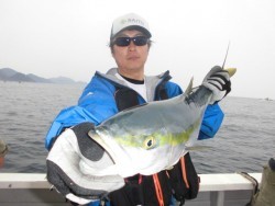 スーパーコーリン丸 投稿ブリ、メジロ好調