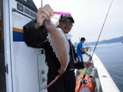 スーパーコーリン丸 投稿ジギング、トップでブリ、メジロ好調