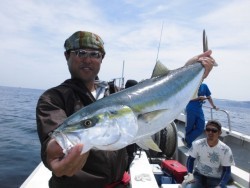 スーパーコーリン丸 投稿ジギング、トップでブリ、メジロ好調