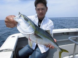 スーパーコーリン丸 投稿ジギング、トップでブリ、メジロ好調