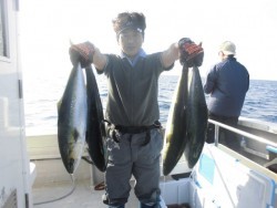 スーパーコーリン丸 投稿トップ、ジギングでブリ、メジロ好調でした。