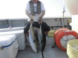 スーパーコーリン丸 投稿トップ、ジギングでブリ、メジロ好調でした。