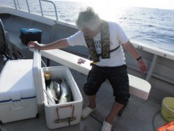 スーパーコーリン丸 投稿トップ、ジギングでブリ、メジロ好調でした。