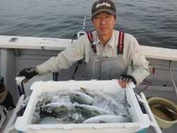 スーパーコーリン丸 投稿ジギング、ハマチ好調