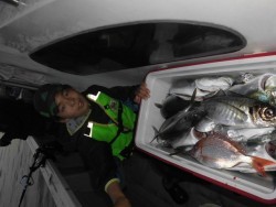 スーパーコーリン丸 投稿ジギング、ハマチ好調