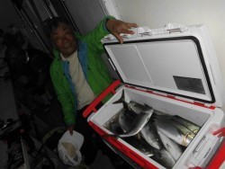 スーパーコーリン丸 投稿ジギング、ハマチ好調