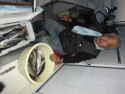 スーパーコーリン丸 投稿ジギング、ハマチ好調