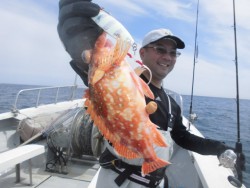 スーパーコーリン丸 投稿ジギングでブリ