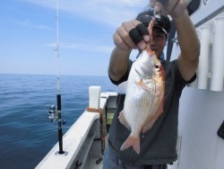 スーパーコーリン丸 投稿ジギングでブリ