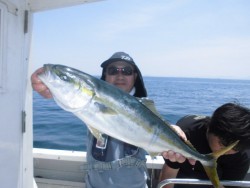 スーパーコーリン丸 投稿ジグ、トップでブリ、メジロ