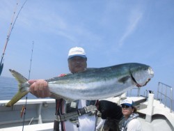 スーパーコーリン丸 投稿ジグ、トップでブリ、メジロ