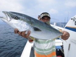 スーパーコーリン丸 投稿ジギングでブリ、真鯛好調