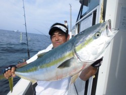 スーパーコーリン丸 投稿ジギングでブリ、真鯛好調