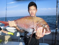 スーパーコーリン丸 投稿ジギングでブリ、真鯛好調