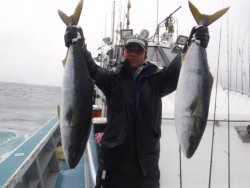 スーパーコーリン丸 投稿ジギングでブリ、メジロまずまず