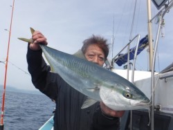 スーパーコーリン丸 投稿ジギング、トップでブリ、メジロ好調