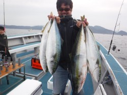 スーパーコーリン丸 投稿ジギング、トップでブリ、メジロ好調