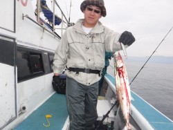 スーパーコーリン丸 投ブリ、メジロ好調