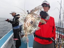 スーパーコーリン丸 投稿ジギングでブリ