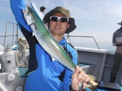 スーパーコーリン丸 投稿ジギングでブリ、メジロ