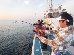 スーパーコーリン丸 投稿ジギングでブリ、メジロ