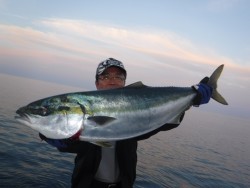 スーパーコーリン丸 投稿ジギングでブリ、メジロ