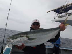 スーパーコーリン丸 投稿トップでブリ好調