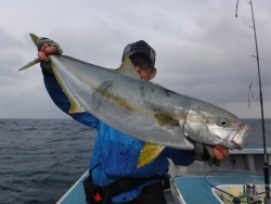 スーパーコーリン丸 投稿トップでブリ好調