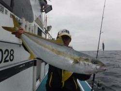 スーパーコーリン丸 投稿トップでブリ好調