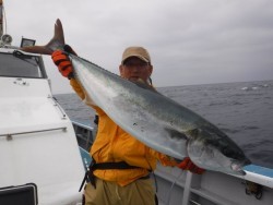 スーパーコーリン丸 投稿トップでブリ好調