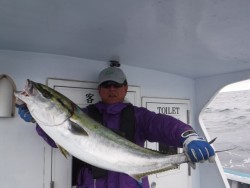 スーパーコーリン丸 投稿トップでブリ好調