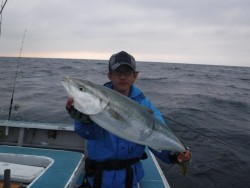 スーパーコーリン丸 投稿トップでブリ好調