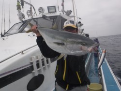 スーパーコーリン丸 投稿トップでブリ好調