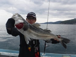 スーパーコーリン丸 投稿ブリ、メジロ好調