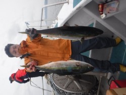 スーパーコーリン丸 投稿ブリ、メジロ好調