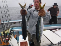 スーパーコーリン丸 投稿ブリ、メジロ好調