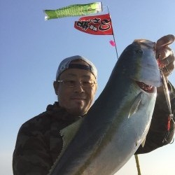 青物と根魚