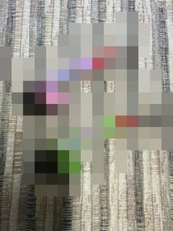 ムギ&マルリベンジ