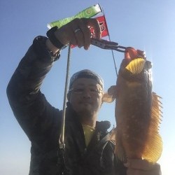 青物と根魚