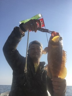 青物と根魚