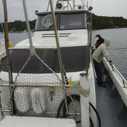 今年初のイカメタル