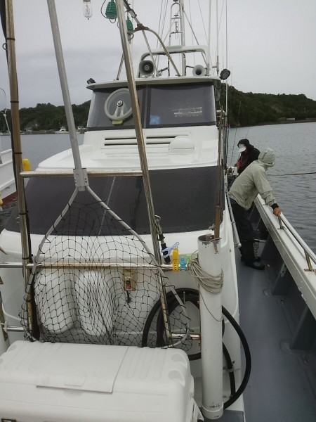 今年初のイカメタル