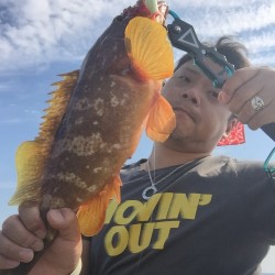 良型出ました！