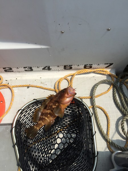 小浜沖 劇渋釣行