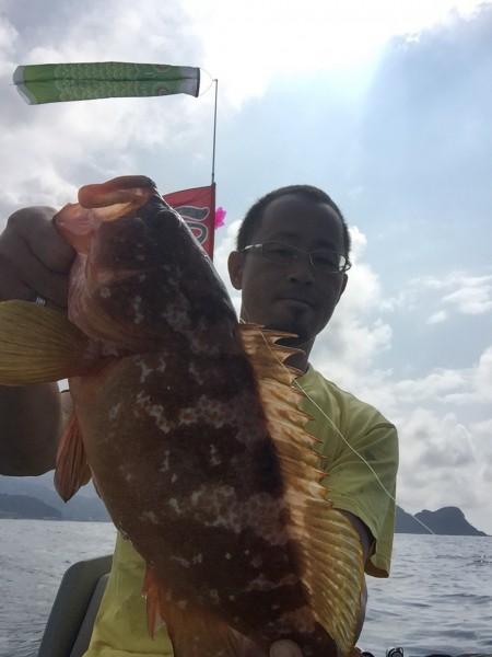 シロイカとアコウ