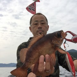 イカメタルでシロイカゲッチュ！